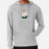 ssrcolightweight hoodiemensheather greyfrontsquare productx1000 bgf8f8f8 - Family Guy Merch
